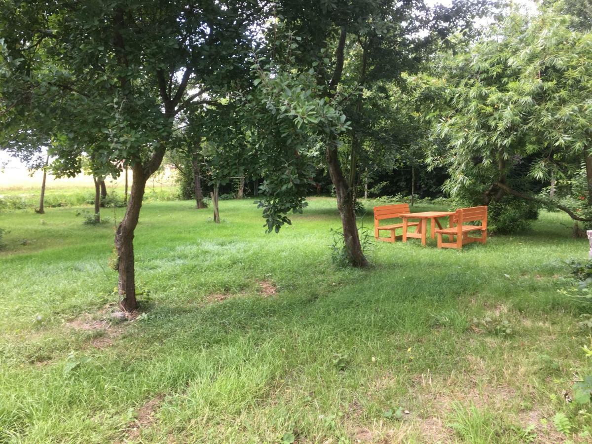 Marijanas Ferienhof 2, Urlaub Mit Viel Platz Zwischen Dornumersiel Und Bensersiel, Gehoert Zum Cafe Kunterbunt Holtgast Eksteriør billede